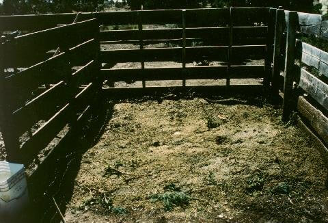 Compost container